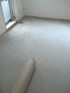 カーペットを張り替える前の状態