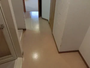 クッションフロアを貼り替える前の廊下の床
