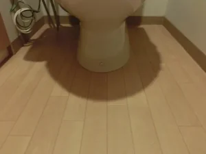 便座周りの仕上げの状態